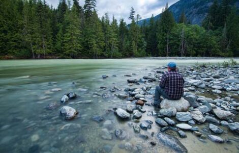Using Shinrin-Yoku and the Sound of Nature to Relax Image